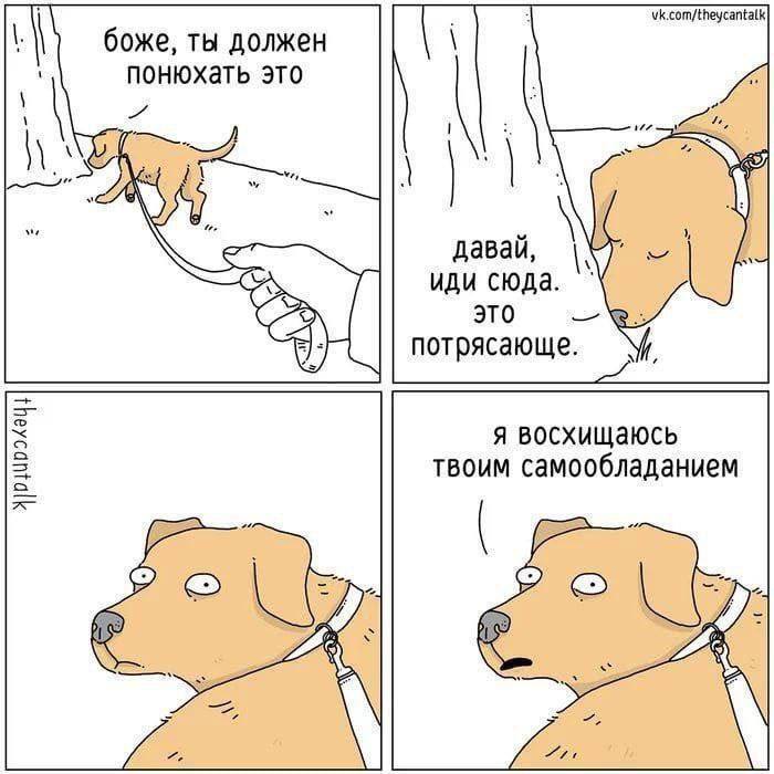 картинка 9b7588c33e hvatit grustit zarjazhaemsja pozitivom na ves den 9