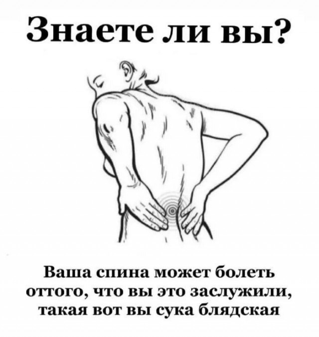 картинка 9d58c30955 21151302