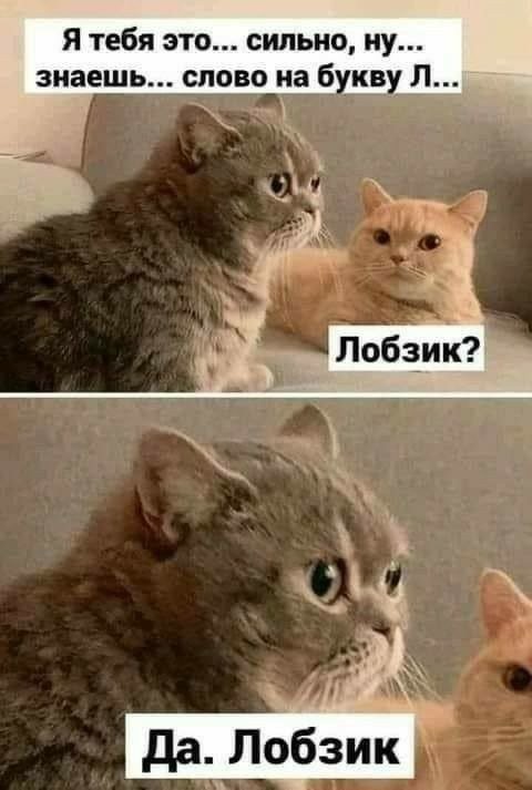 Рабочая неделя официально повержена! 🥊 Рабочая неделя официально повержена! 🥊 Чтобы, эндорфинов, самое, конца, собойЛистайте, улетучатся, мысли, рабочие, небес, подскочит, уровень, переход, Гарантируем, мемов, свежий, собрали, плавно, максимально, прошел, «выходные»