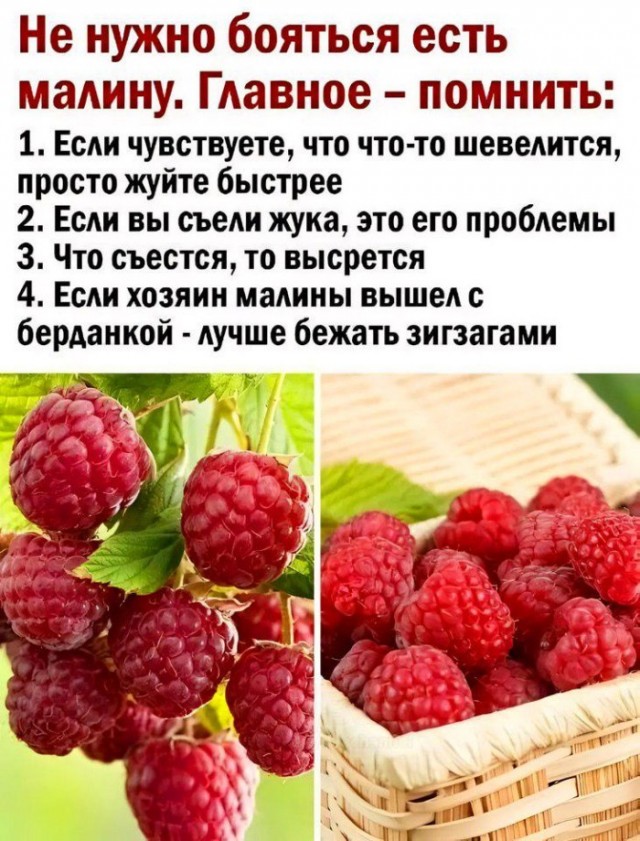 картинка 9f0906cf38 21183386