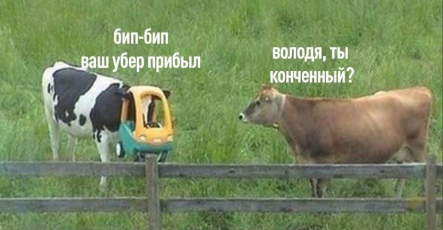 картинка 9f25388348 21203951