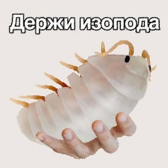 Рабочая неделя официально повержена! 🥊 Рабочая неделя официально повержена! 🥊 Чтобы, эндорфинов, самое, конца, собойЛистайте, улетучатся, мысли, рабочие, небес, подскочит, уровень, переход, Гарантируем, мемов, свежий, собрали, плавно, максимально, прошел, «выходные»