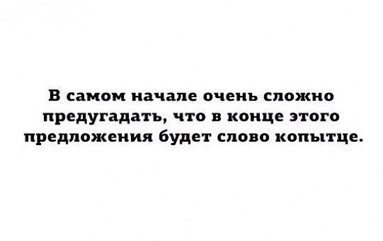 картинка a11d2da61a 21183400