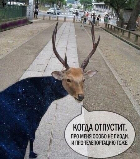 картинка a2a6e64aaa 21149725