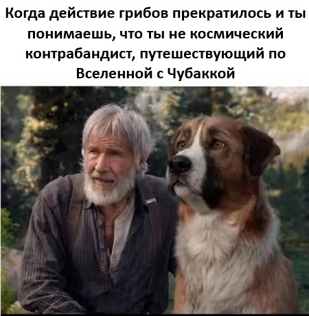 картинка a2c1c350b6 21121444