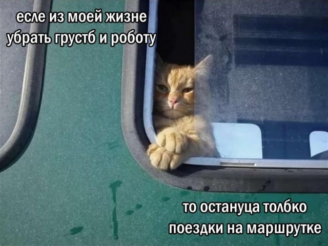 картинка a300119cab 21203789