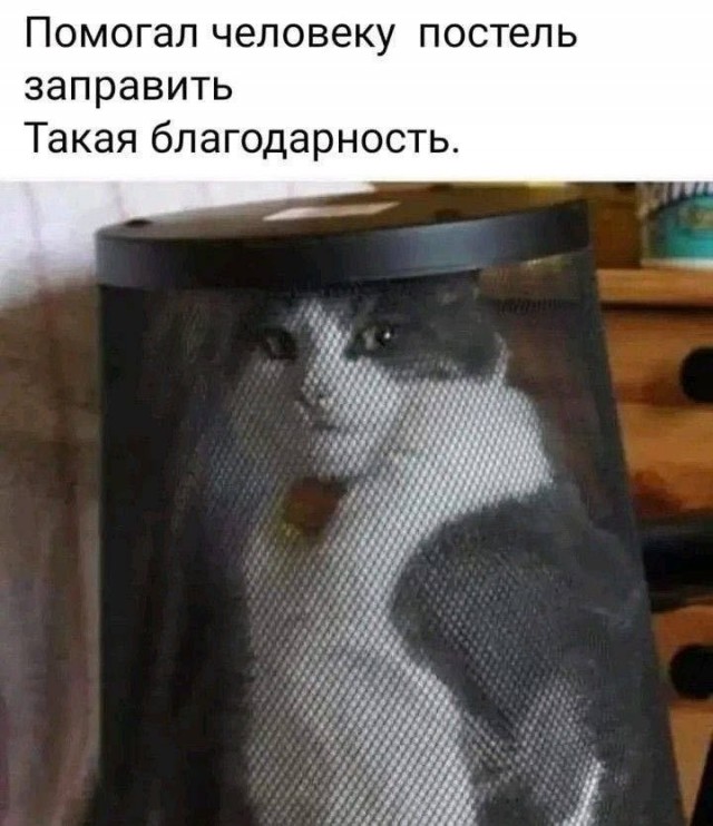 картинка a327444aa0 21221370