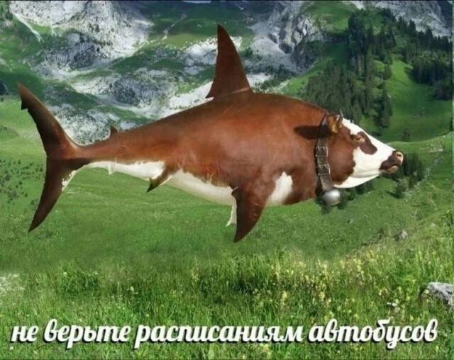 картинка a3ff6afb02 vremja vkljuchat ulybku na maksimum 8