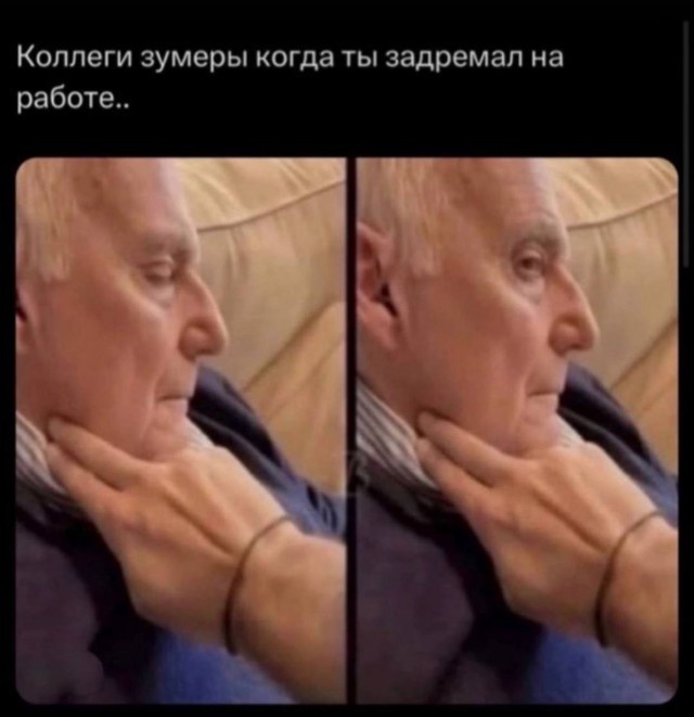 картинка a455cb9d01 21136752