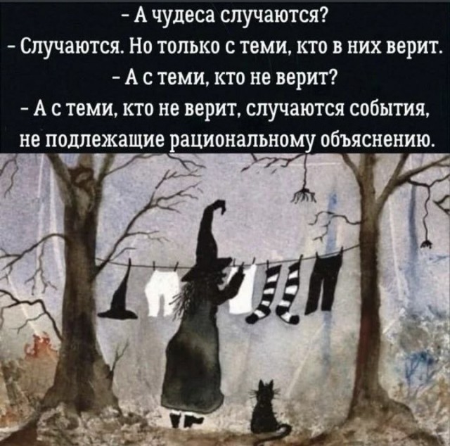 картинка a554cf40f1 21134547