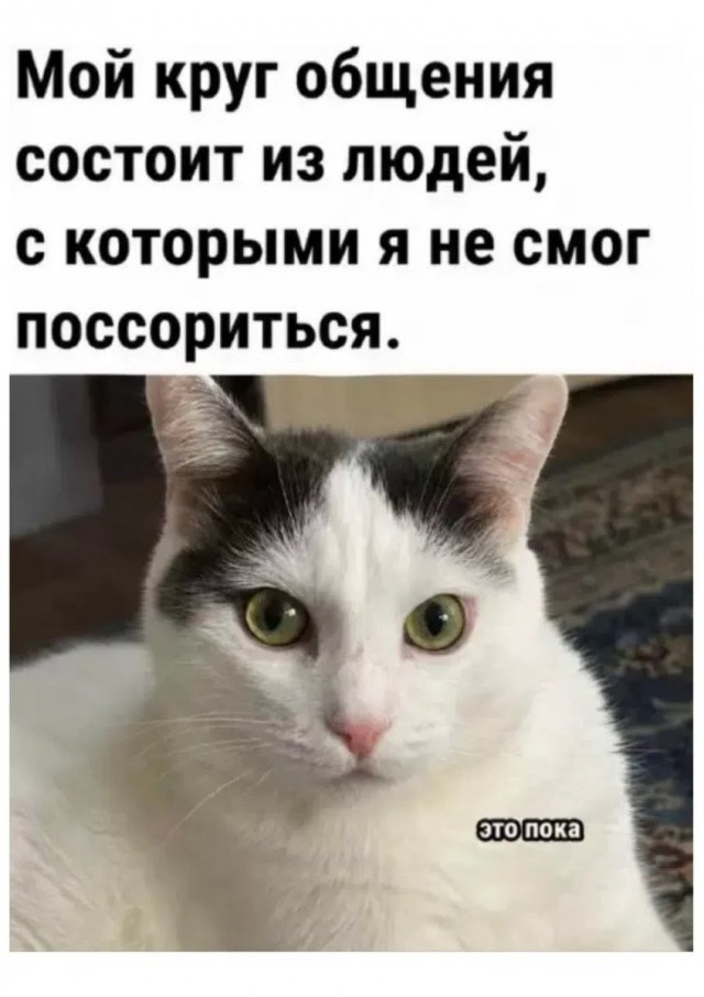 картинка a61b980633 21134549