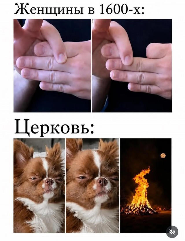 картинка a71fb66ee6 21138042