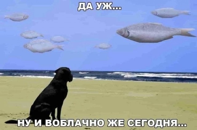 Хватит грустить — пора посмеяться! 🚀 просто, Друзья, которыми, Ситуации, которых, узнаешь, Немного, абсурдного, юмора, Картинки, поделиться, захочется, рутиныВ, друзьямиЗаваривайте, устраивайтесь, поудобнее, листайте, конца, заряд, позитива