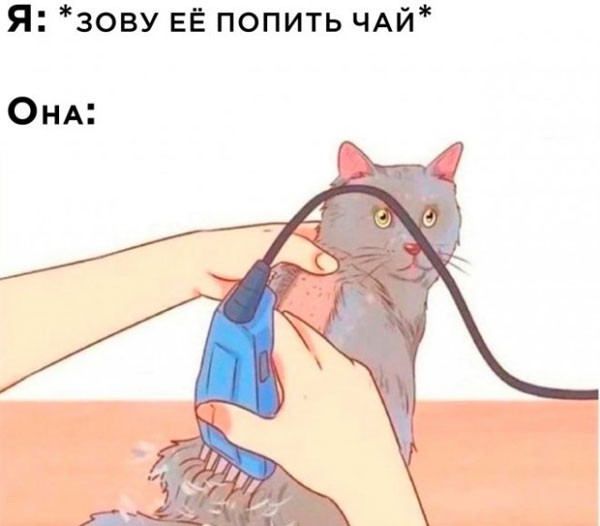 Хватит грустить — пора посмеяться! 🚀 просто, Друзья, которыми, Ситуации, которых, узнаешь, Немного, абсурдного, юмора, Картинки, поделиться, захочется, рутиныВ, друзьямиЗаваривайте, устраивайтесь, поудобнее, листайте, конца, заряд, позитива