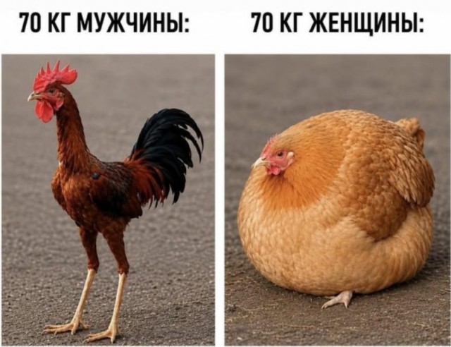 картинка a8ad0d8c74 21166385