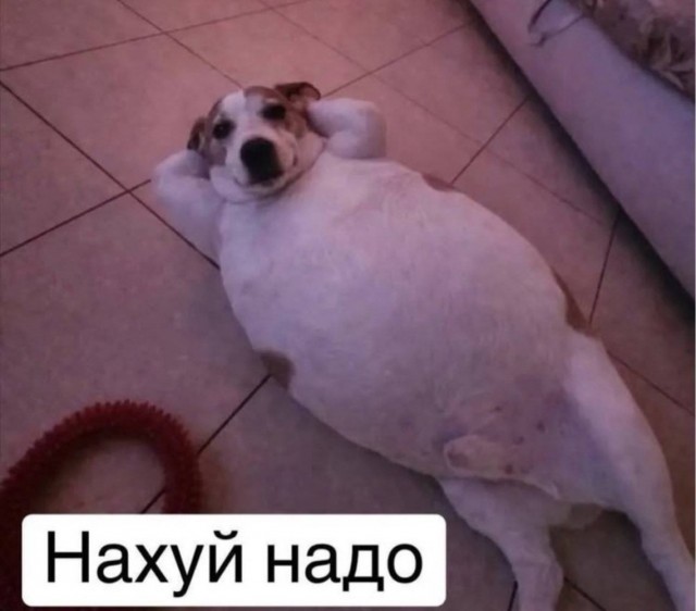 картинка aa70c03449 21152978