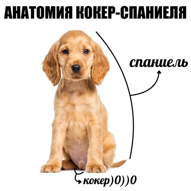 картинка af3d2bda44 21181151