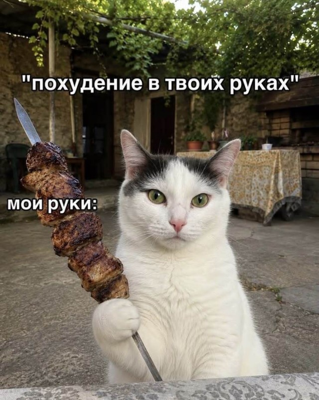 картинка b179472ad1 21170122