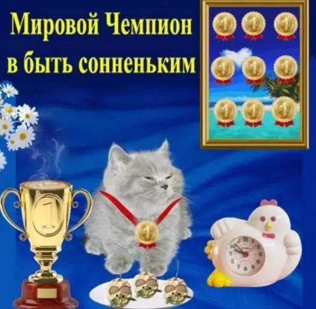 картинка b17db0fbad 21195052