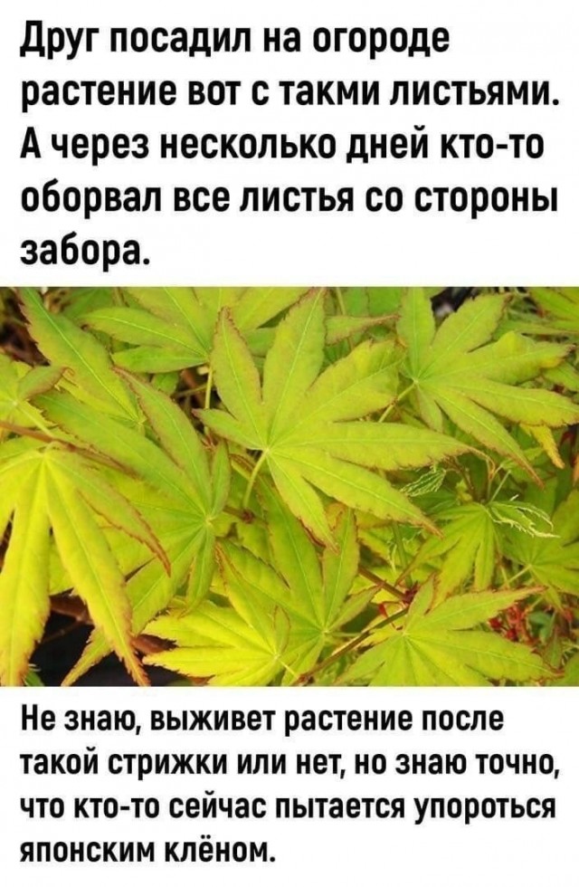 картинка b3d83f3577 21169389