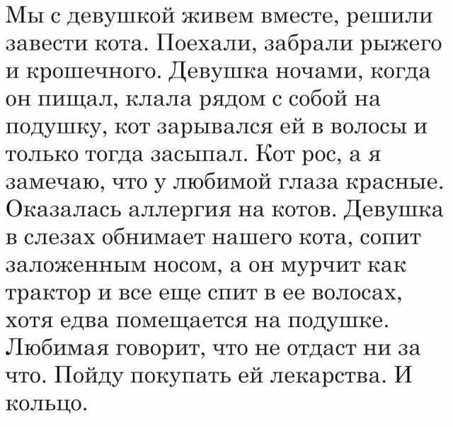 🔥 Рубрика: «Антистресс-пачка мемов» 🔥 задался, доделать», позитива, 😄Пусть, минут, будут, «надо, срочно, правда, только, будет, хорошо, какой, сегодня, Кидайте, комментарии, посмеёмся, лёгкий, Листайте, пролился