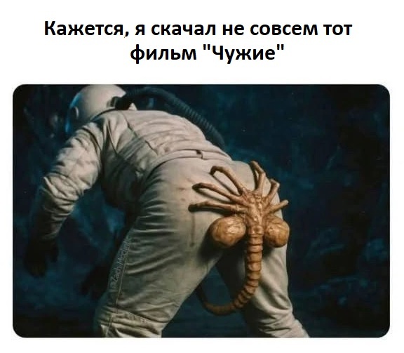 картинка b4ecde5c8f zarjad bodrosti porcija memov chtoby den stal jarche 41