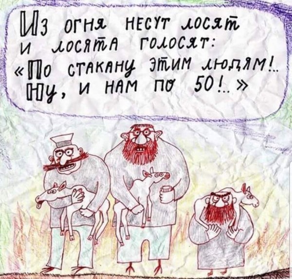 картинка b6f40247cd 21135570