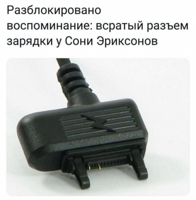 картинка b817fcc655 21173295