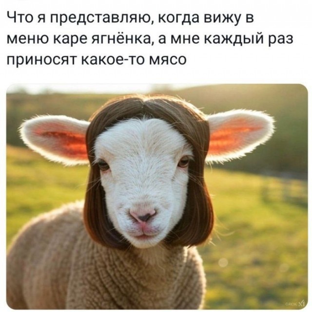 Пятница — маленькая жизнь! 🚀 дождались, последние, которые, поймет, каждый, сегодня, трудом, досиживает, офисе, коллекцию, Листайте, смейтесь, пусть, пролетит, незаметно👇, Заряжаемся, отличные, мемов, юмораСобрали, официально