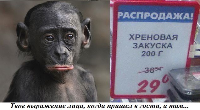 картинка b8c2932271 21152952