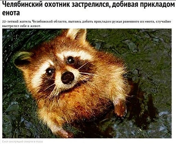 картинка b8dfbdbf48 21182879