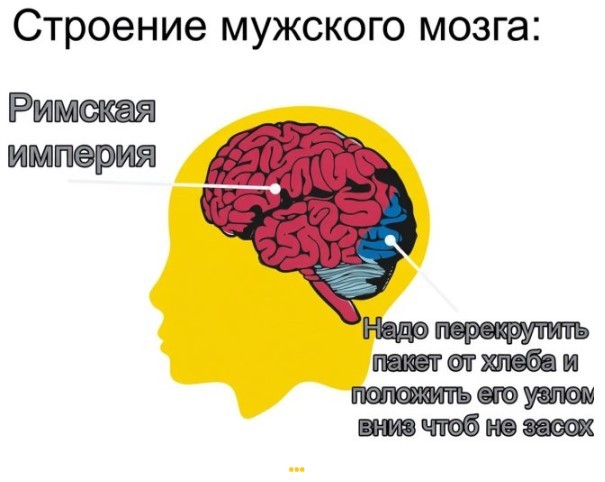 Пятница — маленькая жизнь! 🚀 дождались, последние, которые, поймет, каждый, сегодня, трудом, досиживает, офисе, коллекцию, Листайте, смейтесь, пусть, пролетит, незаметно👇, Заряжаемся, отличные, мемов, юмораСобрали, официально
