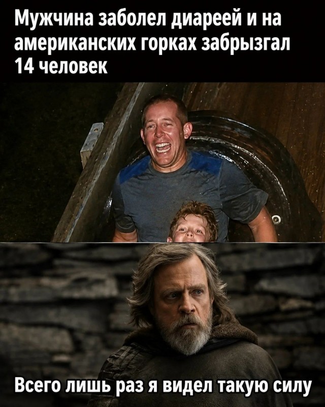 картинка bcf2ca03d8 21221389