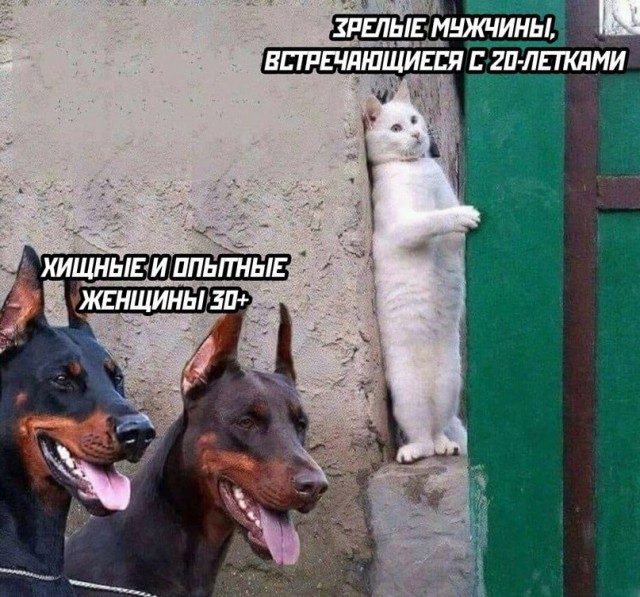 картинка bd0ea9edcc 21121439