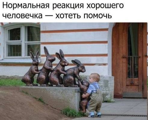 картинка bde06c8d85 21164646