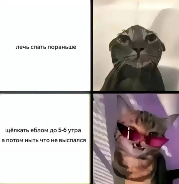 картинка c0a3ad484c 21150167