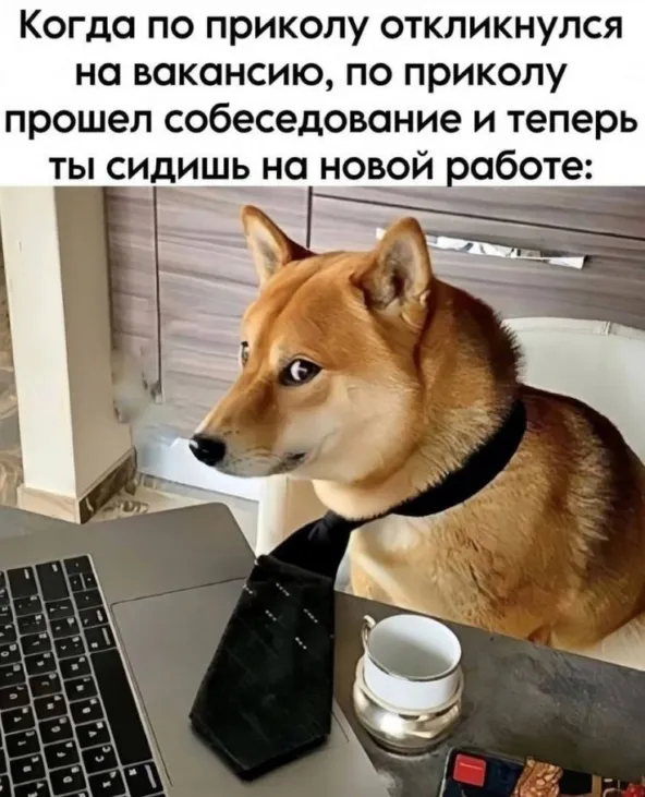 картинка c14a5b07a7 00000000