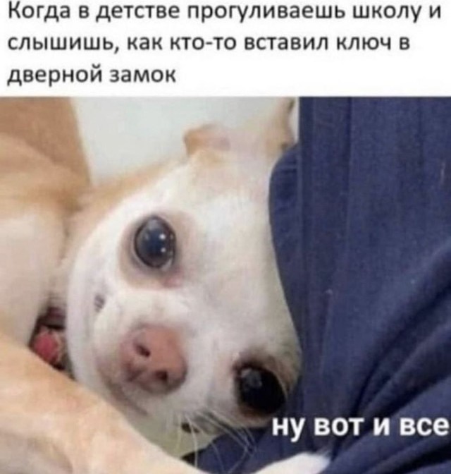 Хватит грустить — пора посмеяться! 🚀 просто, Друзья, которыми, Ситуации, которых, узнаешь, Немного, абсурдного, юмора, Картинки, поделиться, захочется, рутиныВ, друзьямиЗаваривайте, устраивайтесь, поудобнее, листайте, конца, заряд, позитива