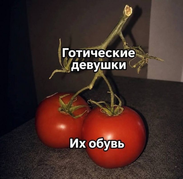 картинка c212a0b819 21170151