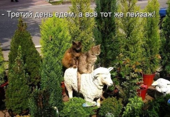 Понедельник — день тяжелый? Только не у нас! ☕️ Признавайтесь, тяжелый», новую, врываемся, позитивом, Заряжаемся, дыхании, одном, пройдет, понедельник, незаметно, пролетит, время, подборкой, нашей, «день, прошло, волнуЗабудьте, рабочую, настроиться