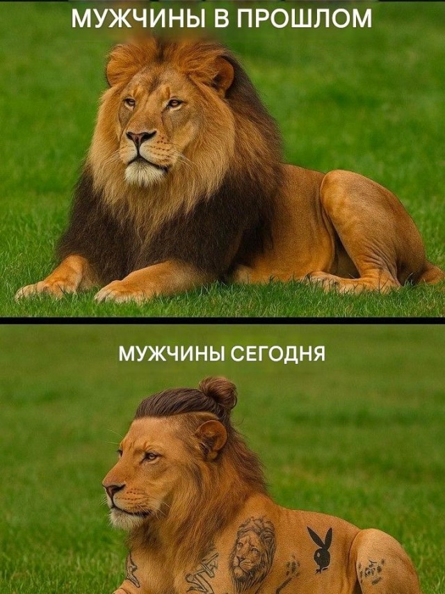 картинка c579afbc36 21153672