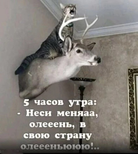 Хватит грустить — пора посмеяться! 🚀 просто, Друзья, которыми, Ситуации, которых, узнаешь, Немного, абсурдного, юмора, Картинки, поделиться, захочется, рутиныВ, друзьямиЗаваривайте, устраивайтесь, поудобнее, листайте, конца, заряд, позитива