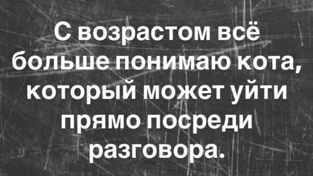 картинка c5ba6c0604 21164475