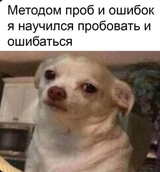 🔥 Рубрика: «Антистресс-пачка мемов» 🔥 задался, доделать», позитива, 😄Пусть, минут, будут, «надо, срочно, правда, только, будет, хорошо, какой, сегодня, Кидайте, комментарии, посмеёмся, лёгкий, Листайте, пролился