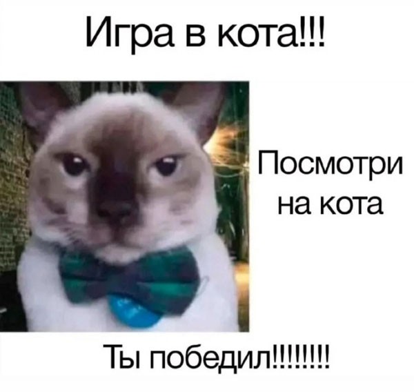 картинка c844321746 21135566