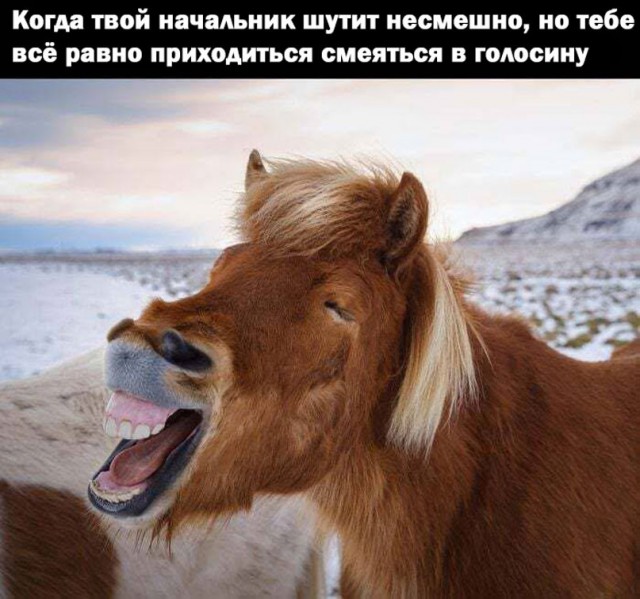 картинка ca185a7c92 21169385