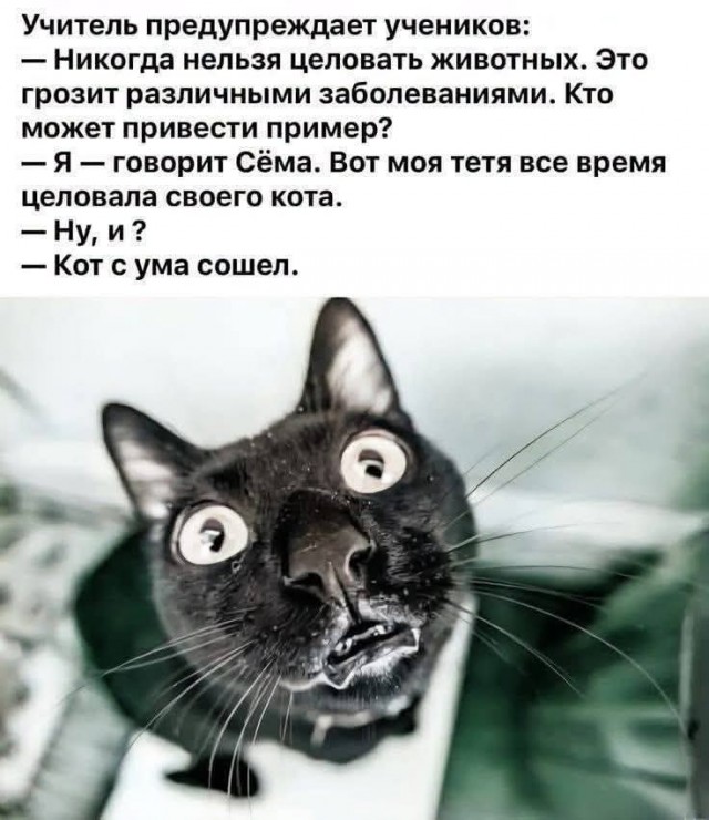 картинка ca8dfb93a1 21183689