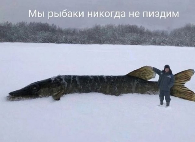картинка cc5a66ae0b 21137883