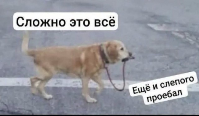 картинка cccf1063c1 21135679