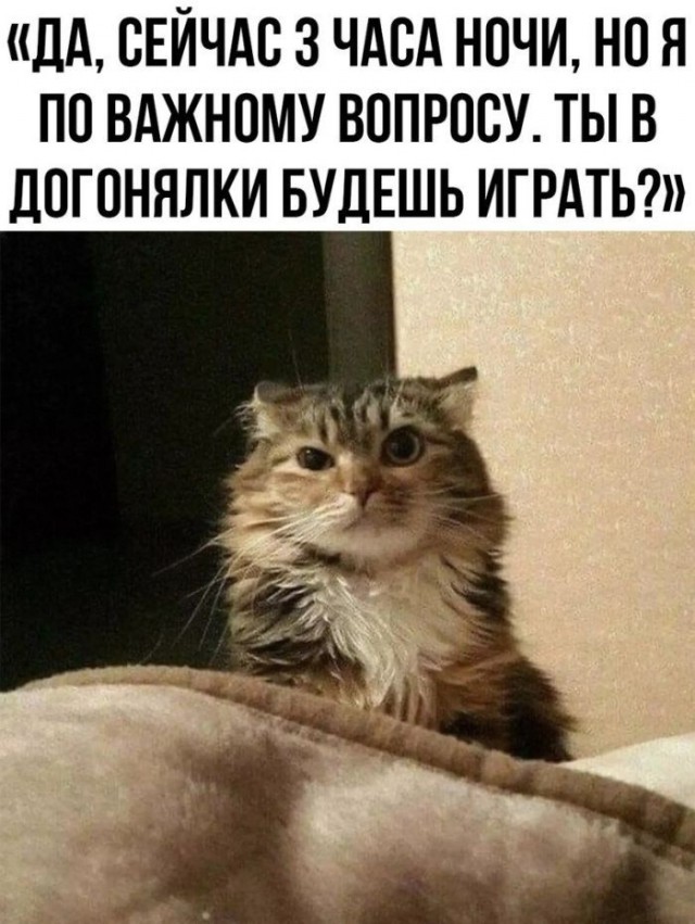 картинка cd40505427 21116575